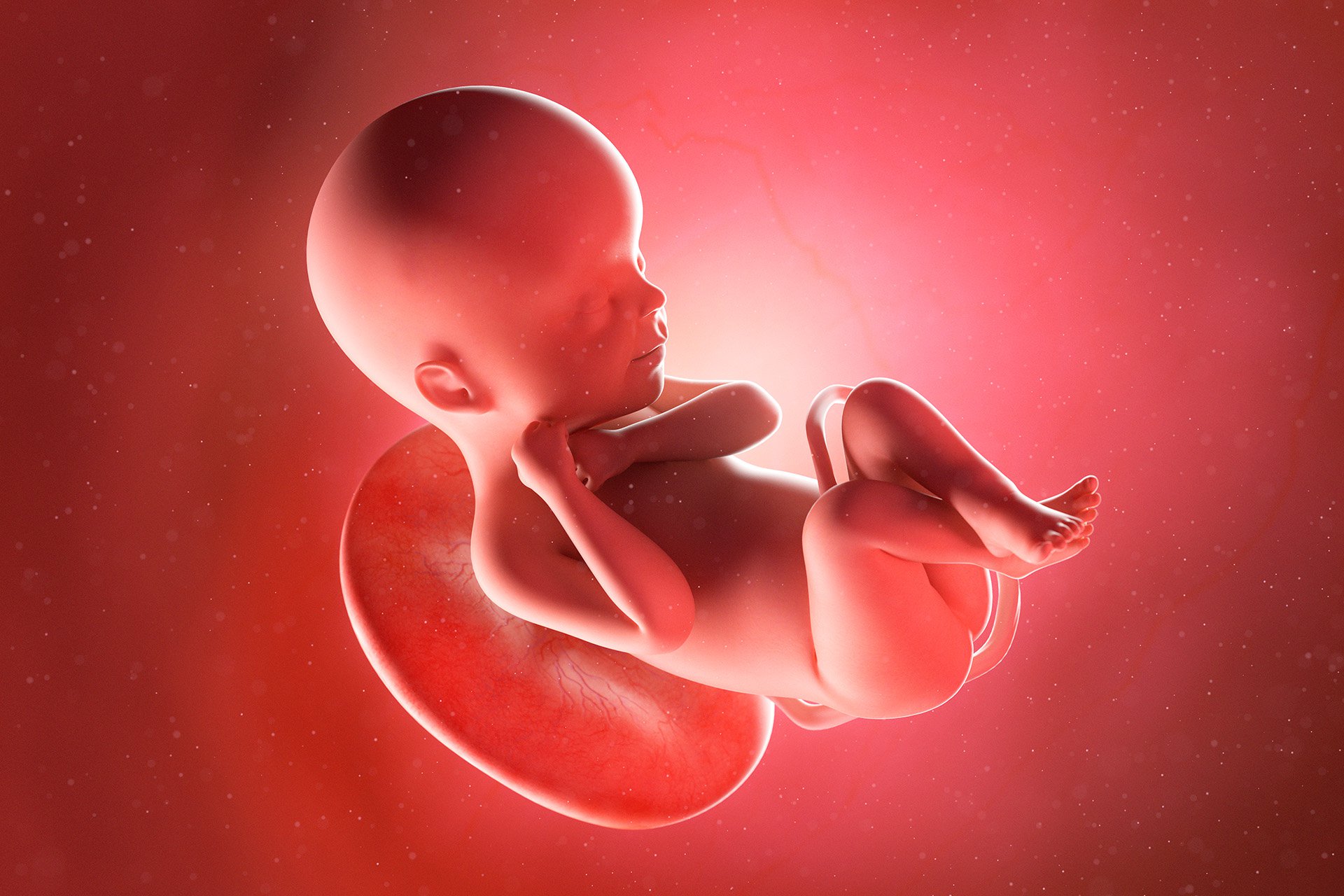 Bebé en la placenta